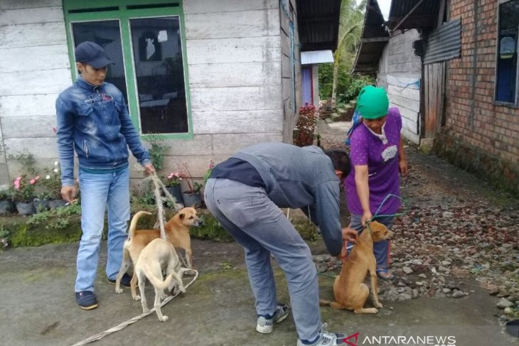 Warga Rejang Lebong pemilik hewan peliharaan diimbau aktif vaksin HPR