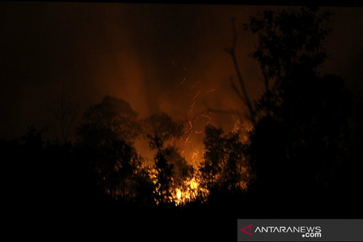 Kebakaran Hutan Dan Lahan