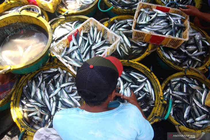 Musim padangan harga ikan naik