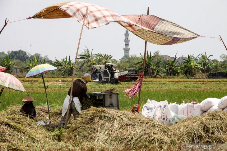 Pemanfaatan teknologi pertanian