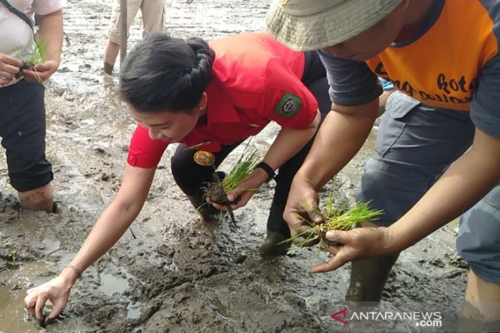 Tjhai Chui Mie ajak kelompok tani maksimalkan lahan kosong