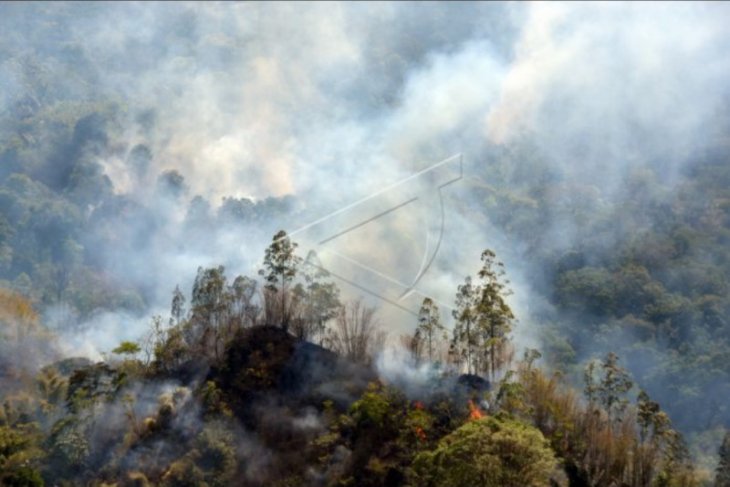 Kebakaran hutan dan lahan di Kintamani