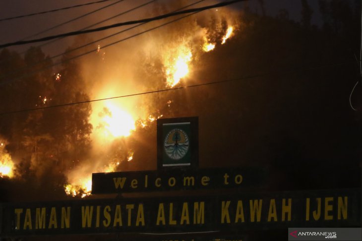 Kebakaran gunung widodaren