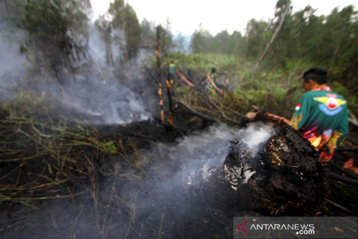 Kalsel Masih Di Landa Karhutla