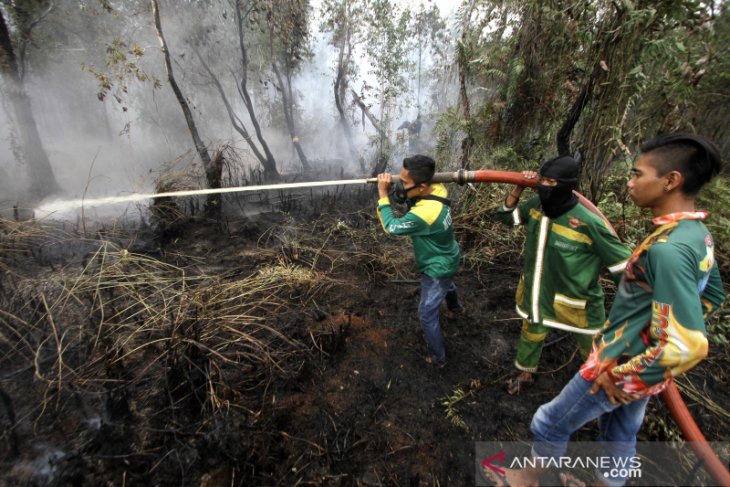 Kalsel Masih Di Landa Karhutla