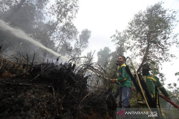 Kalsel Masih Di Landa Karhutla