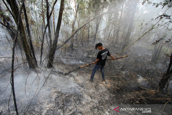 Kalsel Masih Di Landa Karhutla