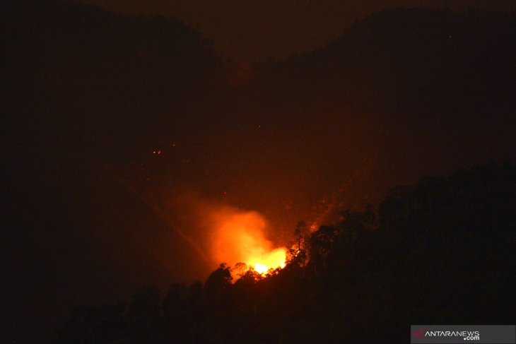 Kebakaran di Gunung Argopuro