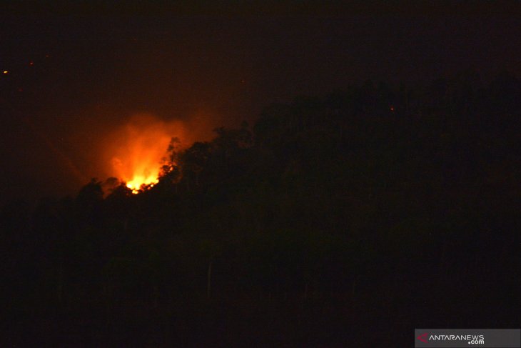 Kebakaran di Gunung Argopuro