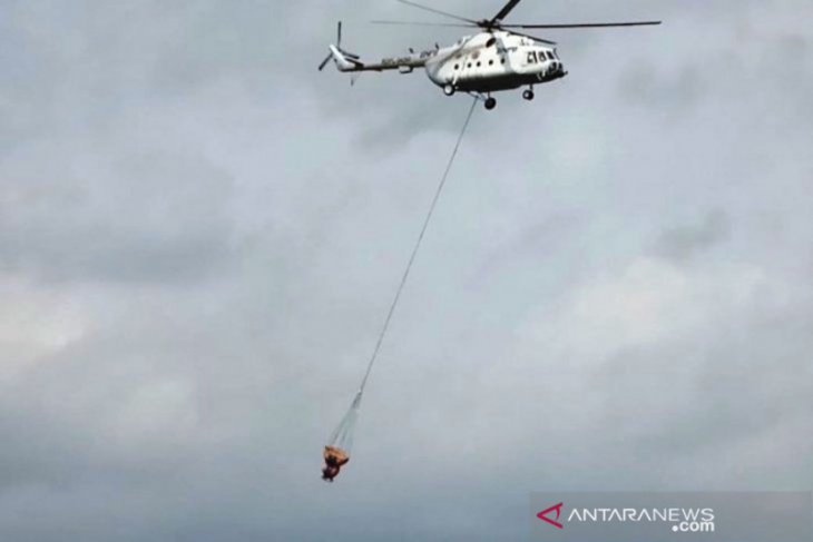 BNPB: Kecepatan angin halangi pemadaman karhutla Gunung Arjuno-Welirang