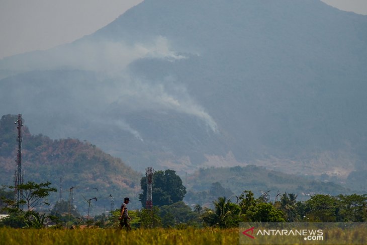 Kebakaran Hutan Gunung Tampomas