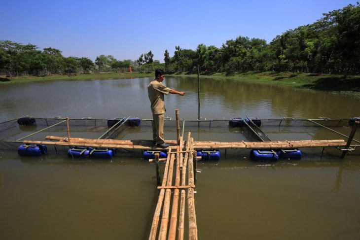 Hutan kota Balas Klumprik Surabaya bakal dilengkapi fasilitas outbound