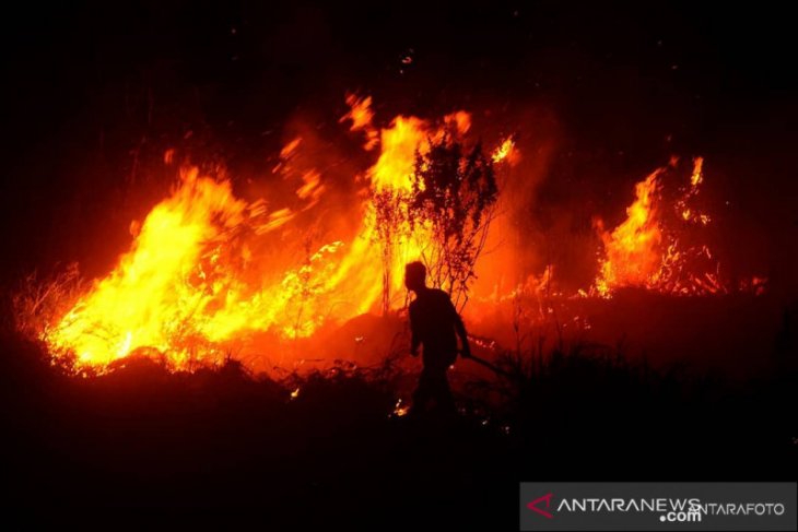 Kebakaran hanguskan puluhan kios di Pasar Jatisari Karawang