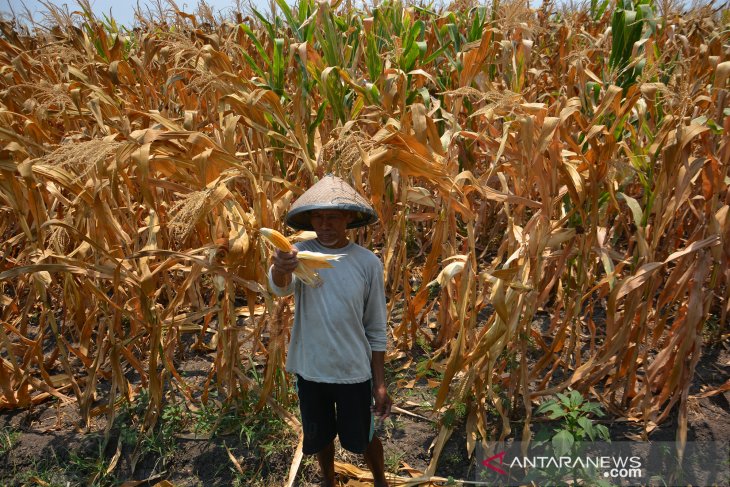 Sungai di Jombang diduga tercemar limbah