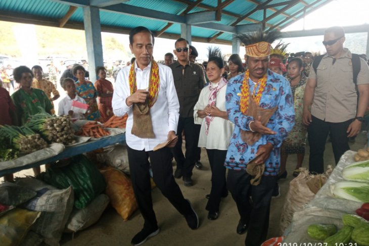 Presiden Jokowi minta waktu dua tahun bangun Bandara Pegunungan Arfak