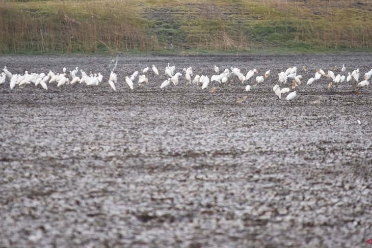 Waduk Saradan kering