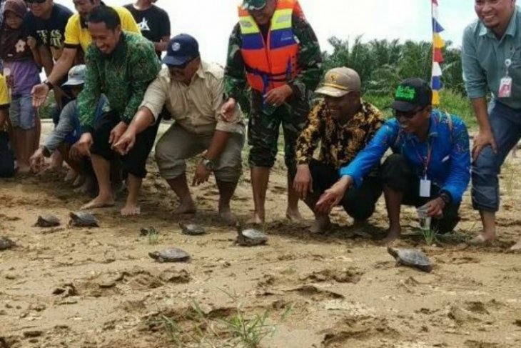 Warga Paser melepas 300 ekor Biuku ke habitatnya