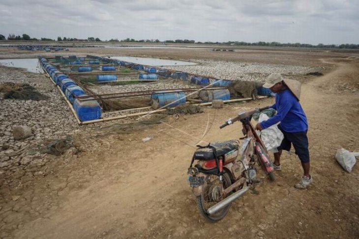 Petani ikan keramba terdampak kekeringan