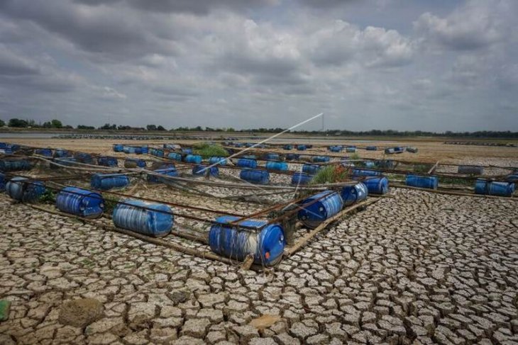 Petani ikan keramba terdampak kekeringan