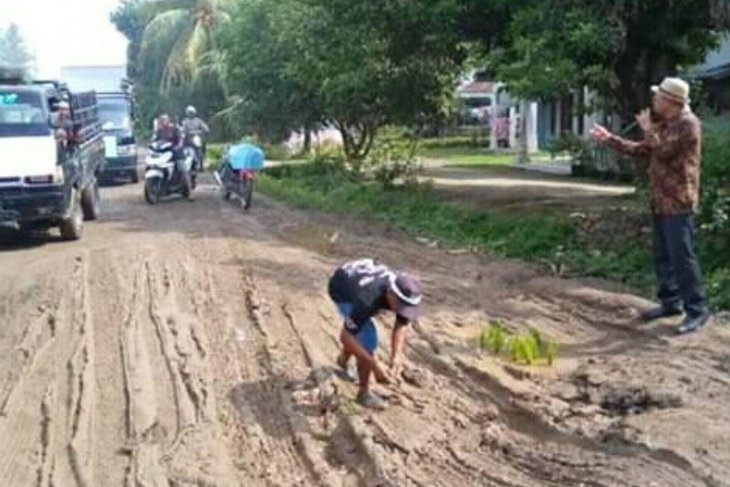 Protes jalan rusak, ratusan warga lima desa di Simalungun tanam padi di badan jalan