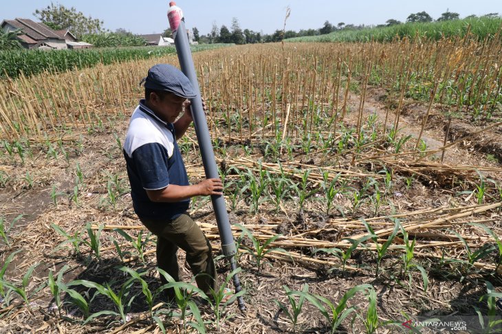 Petani ciptakan alat penabur pupuk