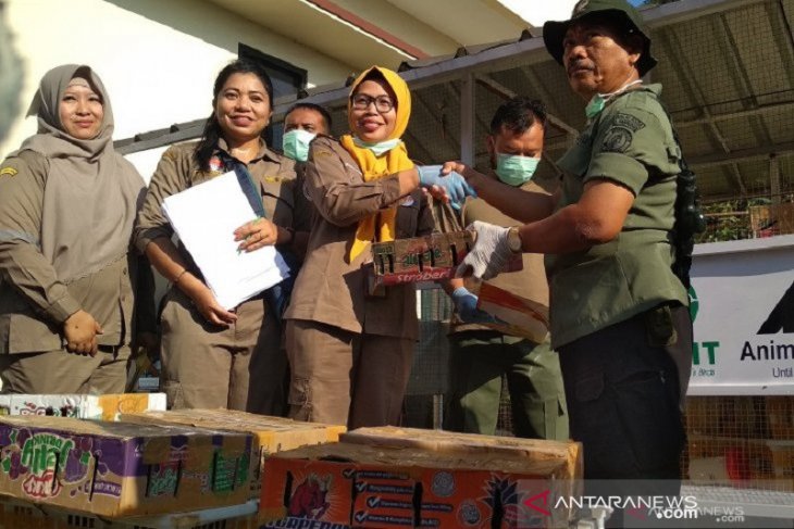 Balai Karantina Bandarlampung lepasliarkan 3.092 burung hasil tangkapan