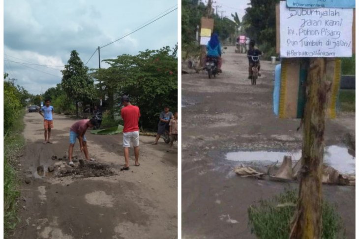 Warga Desa Banyumas Stabat Kabupaten Langkat tanam pohon di badan jalan