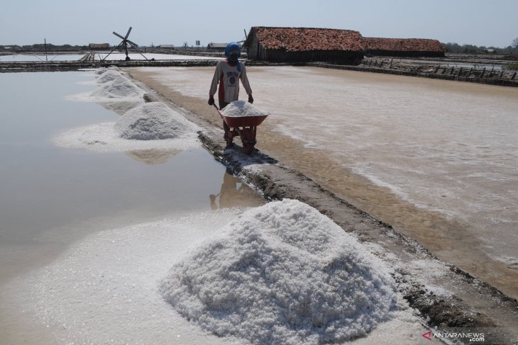 Bangun proyek percontohan garam industri