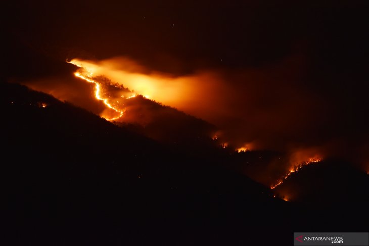 Kebakaran di Gunung Lawu