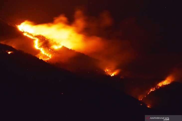 Kebakaran di Gunung Lawu