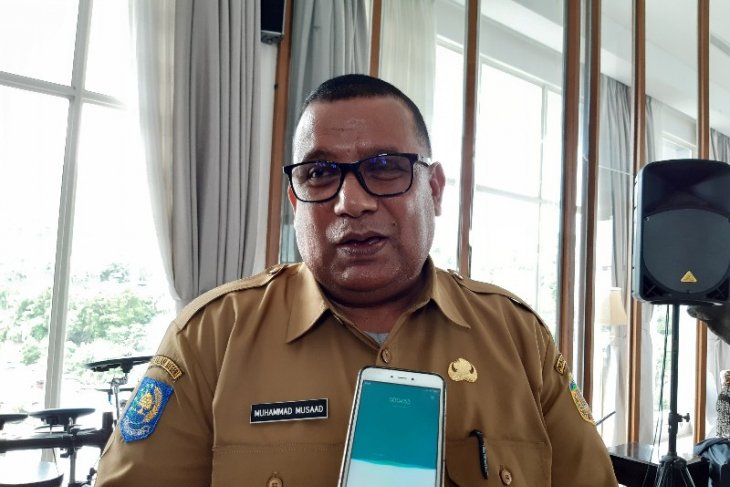 Papua provincial govt increases investment through infrastructure