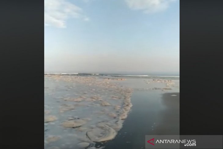 Pantai Teluk Sepang dipenuhi buih diduga buangan PLTU