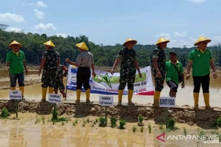 Aceh Tamiang klaim cetak sawah baru 290 hektare bakal terealisasi
