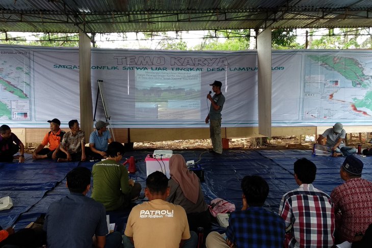 Belasan desa di Lampung adakan