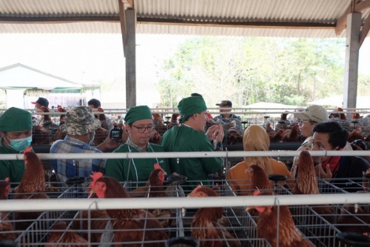 Perekonomian masyarakat Blitar bergantung sektor peternakan