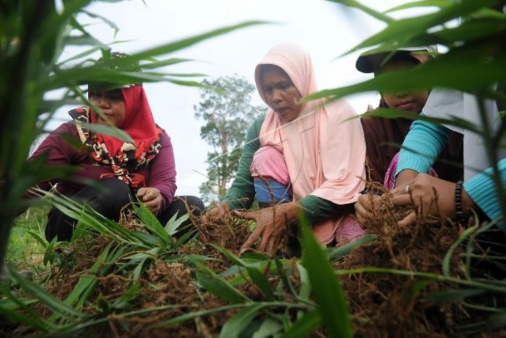 Pemberdayaan masyarakat penyangga taman nasional