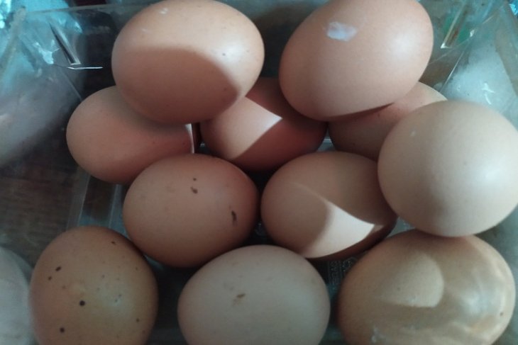 Harga telur ayam naik jelang Natal