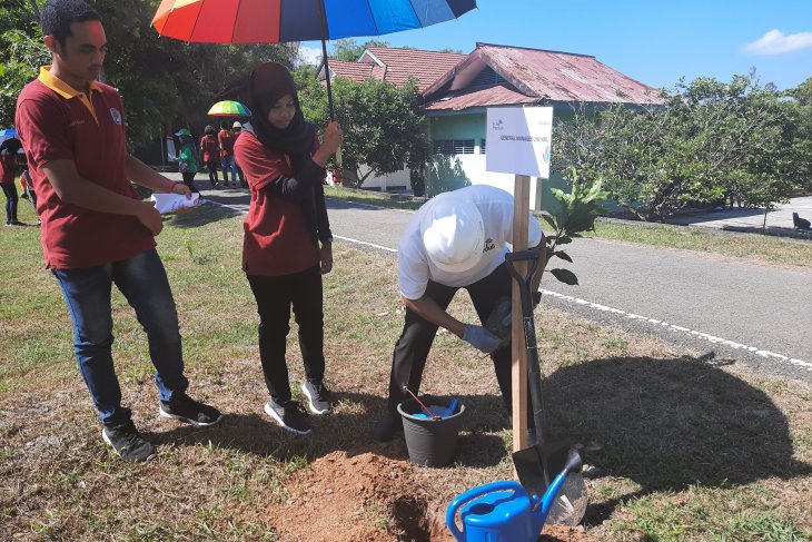 PT. PLN MMU tanam 1.000 pohon