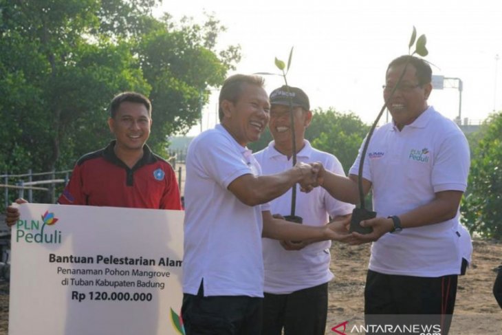 PLN Bali tanam ribuan pohon mangrove di Kampung Kepiting
