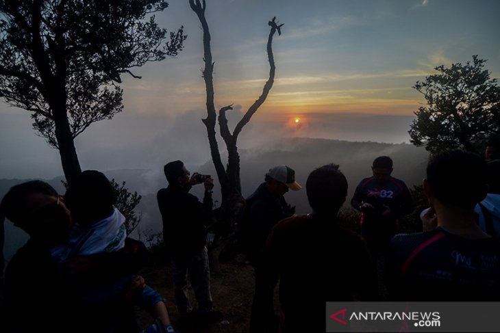 Wisata Alam Puncak Upas