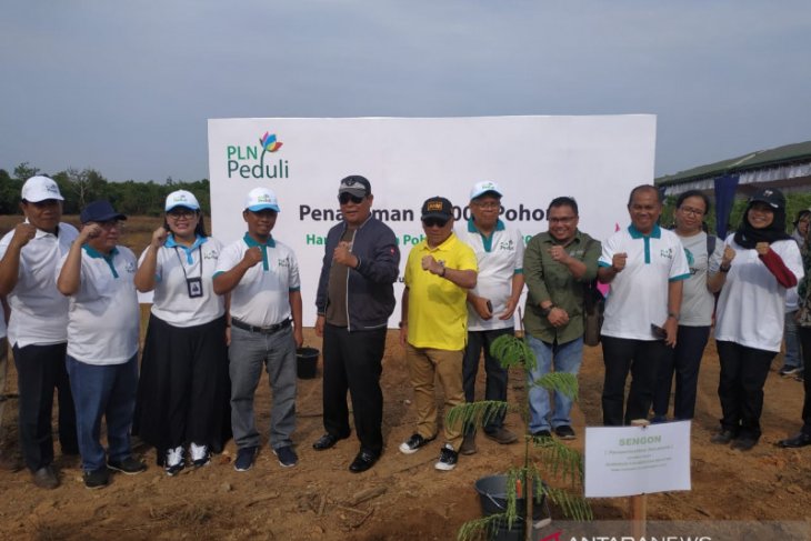 Paman Birin minta perusahaan swasta maupun pemerintah tanam pohon