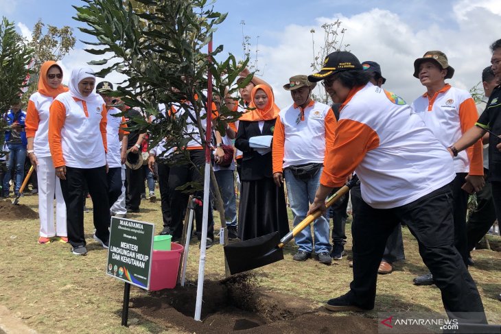 Menteri LHK: Pemerintah fokus memulihkan lingkungan