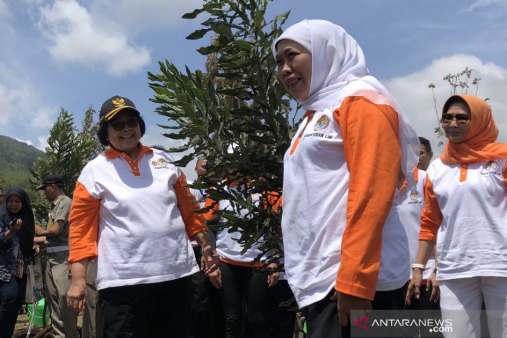 Jawa Timur jadi percontohan penanganan daerah aliran sungai