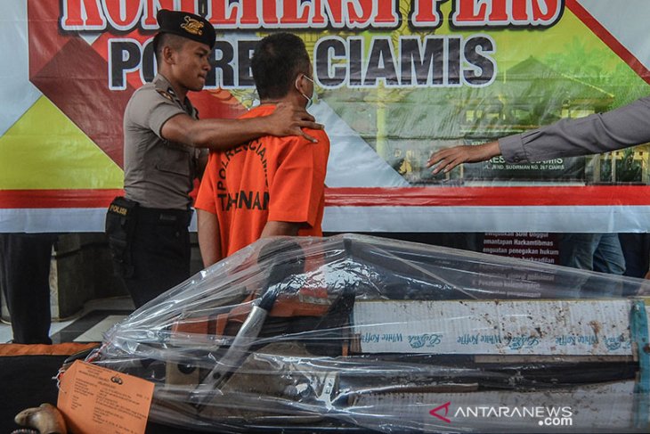 Polisi Ungkap Pembalakan Liar