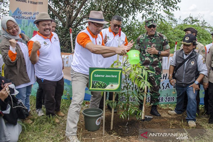 Gerakan Penanaman Pohon di Lahan Kritis