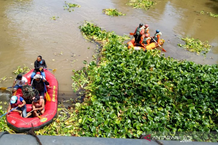 Garut manfaatkan eceng gondok jadi pakan ternak dan kerajinan