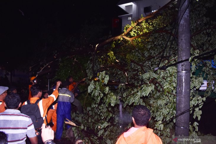 Dampak angin kencang di Madiun