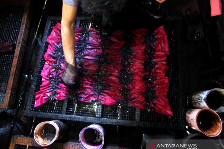 Pembuatan Kain Sasirangan Khas Kalimantan Selatan