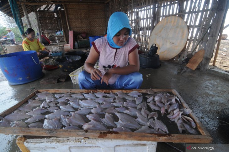 Produksi Ikan Kering