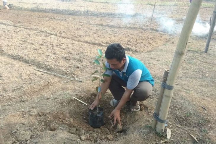 Dukung program konservasi lahan, Petani Lebak kembangkan buah-buahan